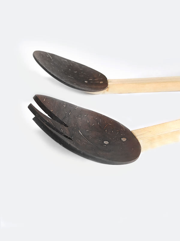 Coconut Spoon Bundle