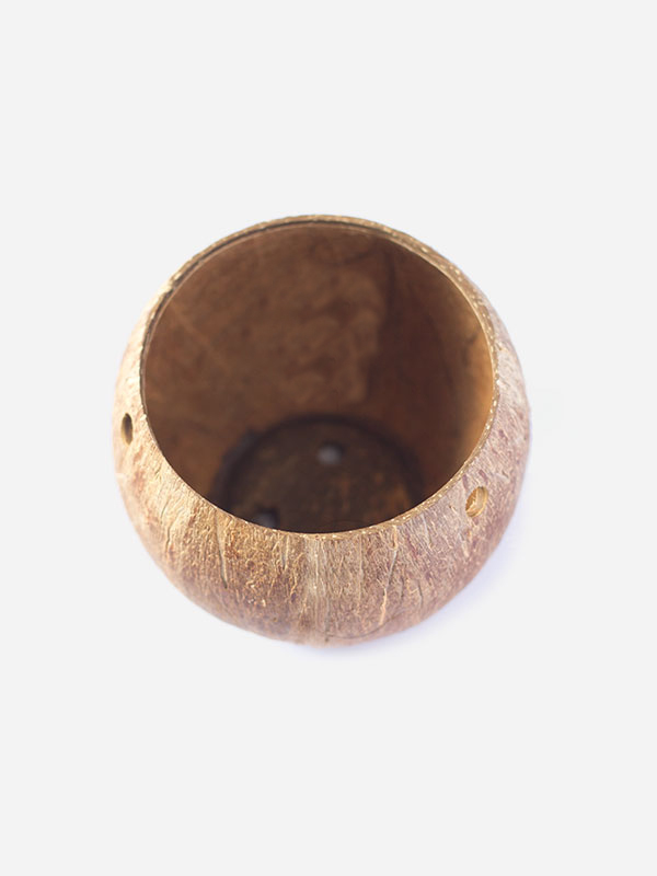 Coconut Bowl