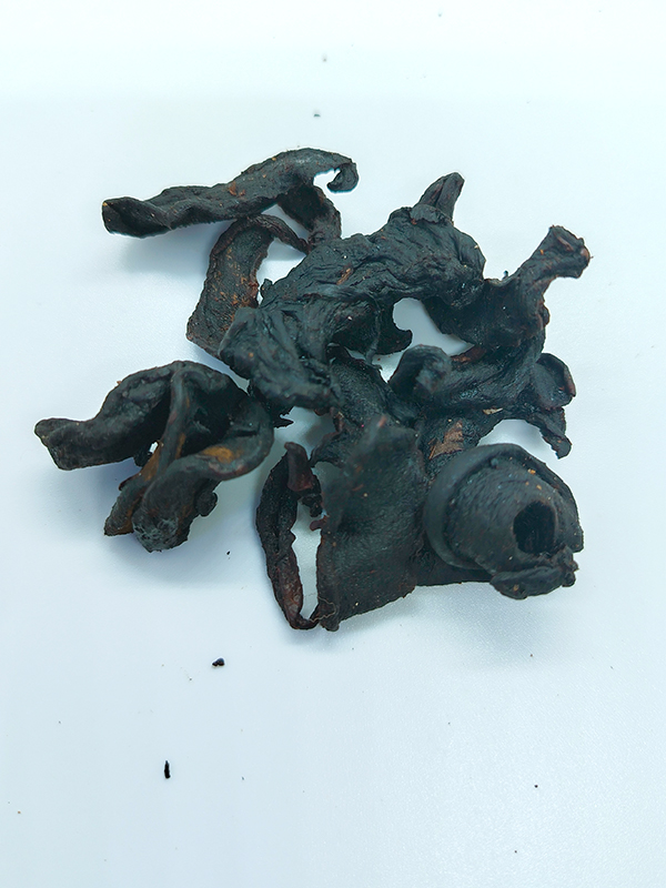 Garcinia Cambogia (Goraka)